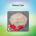Original Shimul Tula